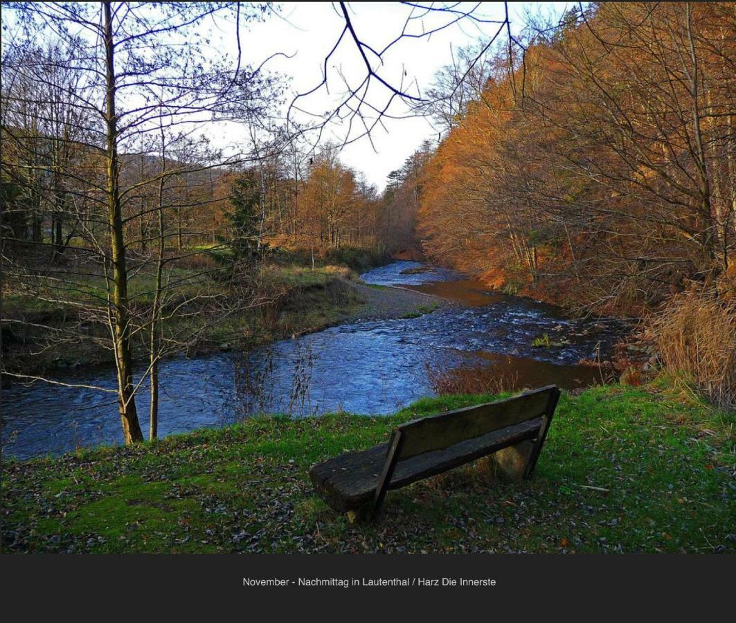 Ferienhaeuser Am Waldschloesschen 라우텐탈 외부 사진